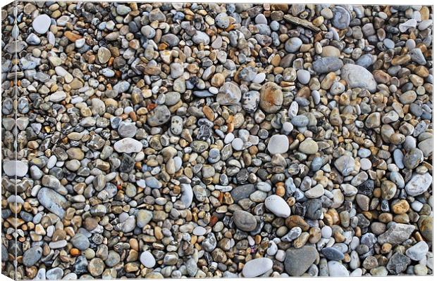  Shingle Canvas Print by Caroline Hillier