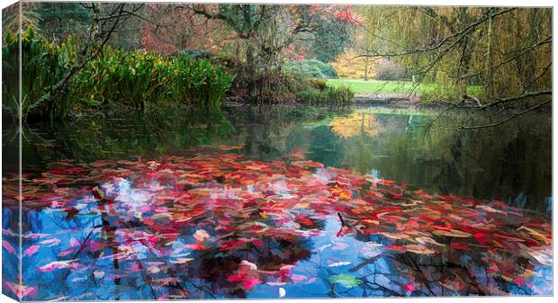  Autumn Pond Canvas Print by Colin Evans