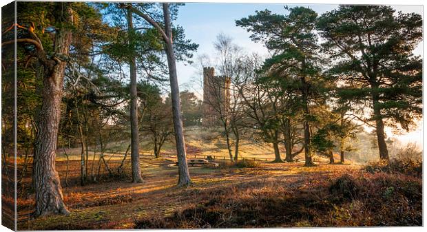 Leith Hill Tower at Dawn Canvas Print by Colin Evans