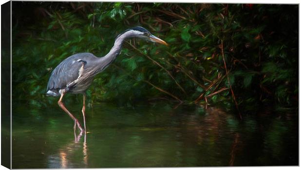 The Heron Canvas Print by Colin Evans