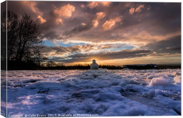The Snowman on Reigate Hill Canvas Print by Colin Evans