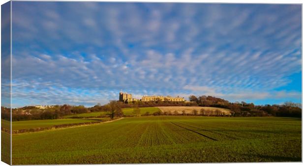Bolsover Castle  Canvas Print by Michael South Photography