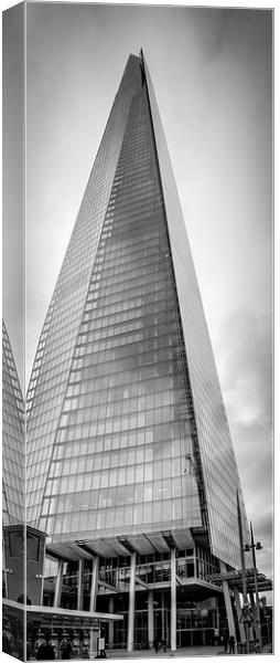  Reaching for the sky Canvas Print by Gary Schulze