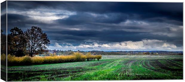 Stormy day Canvas Print by Gary Schulze