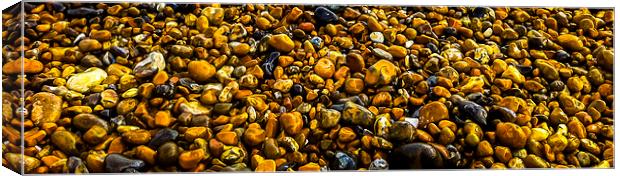 Pebbles Canvas Print by Gary Schulze