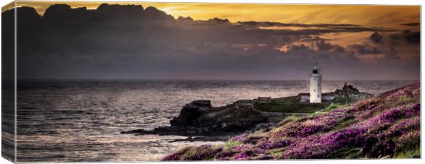Godrevy Lighouse Canvas Print by Gary Schulze