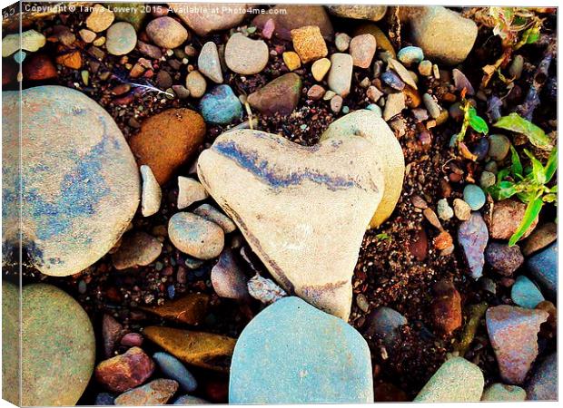  heart of stone Canvas Print by Tanya Lowery