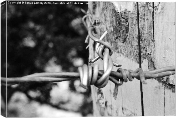  Barbwire! Canvas Print by Tanya Lowery