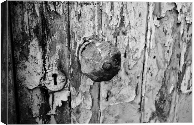  old door Canvas Print by Tanya Lowery