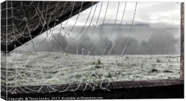 Dew on a cobweb Canvas Print by Tanya Lowery