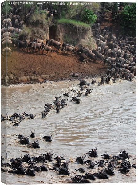 The Great Wildebeest Migration Canvas Print by Dave Eyres