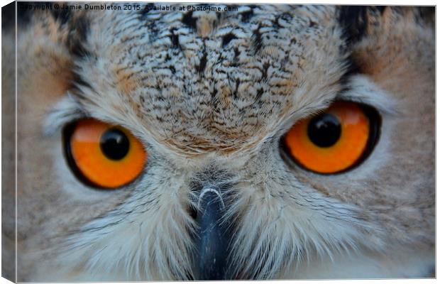  Eurasian Eagle Owl Canvas Print by Jamie Dumbleton