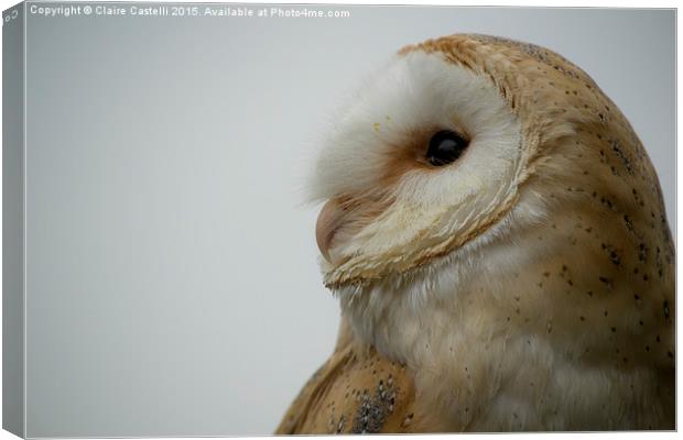 Barn Owl Canvas Print by Claire Castelli
