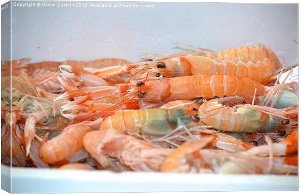 Fresh prawns Canvas Print by Claire Castelli