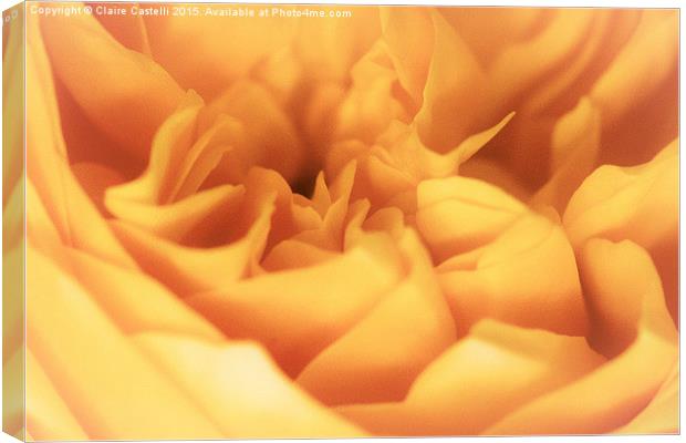  A sea of petals Canvas Print by Claire Castelli