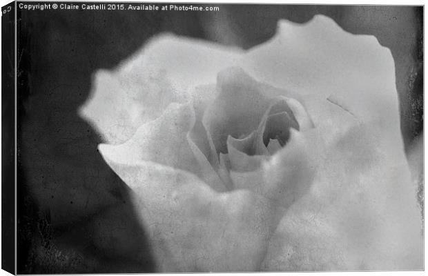  black and white rose Canvas Print by Claire Castelli