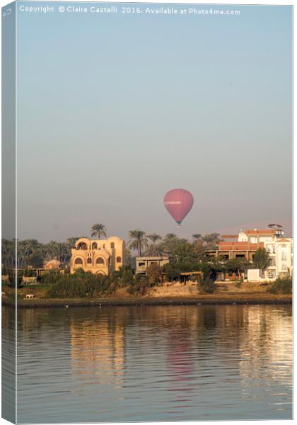 Coming into land Canvas Print by Claire Castelli