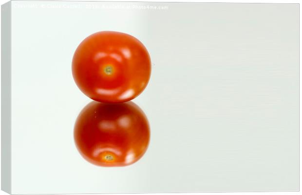 Tomato Canvas Print by Claire Castelli