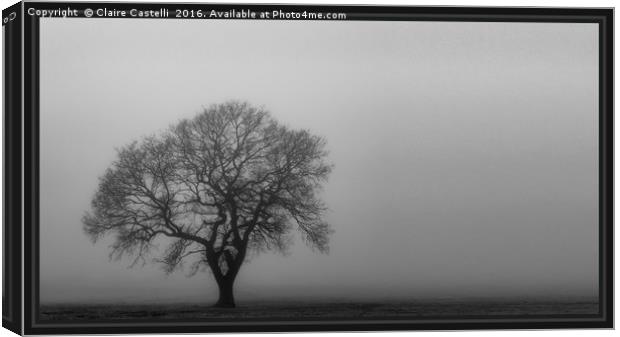 The lone tree Canvas Print by Claire Castelli