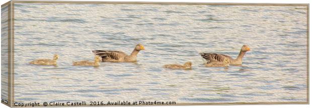 Ugly ducklings Canvas Print by Claire Castelli