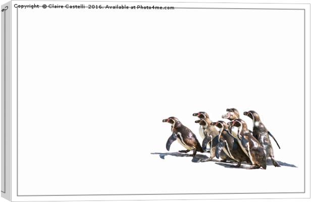 March of the penguins Canvas Print by Claire Castelli
