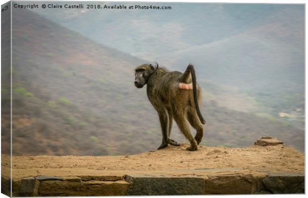 Standing on the edge of the world Canvas Print by Claire Castelli