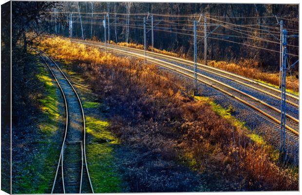 Railway Tracks in the Forest at Sunset Canvas Print by Artur Bogacki