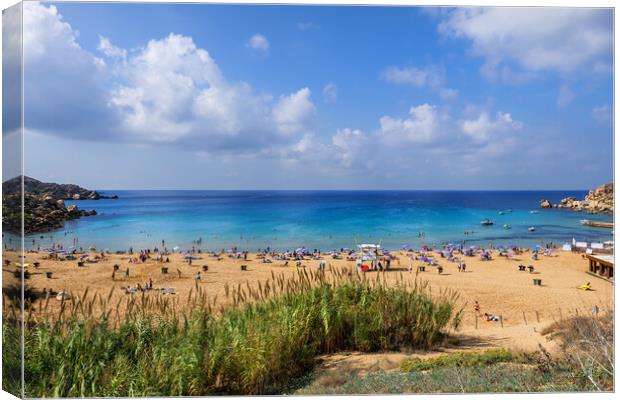 Golden Bay And Beach In Malta Canvas Print by Artur Bogacki