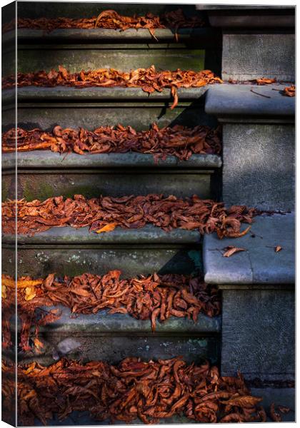 Vintage Stairs Covered With Fallen Autumn Leaves Canvas Print by Artur Bogacki