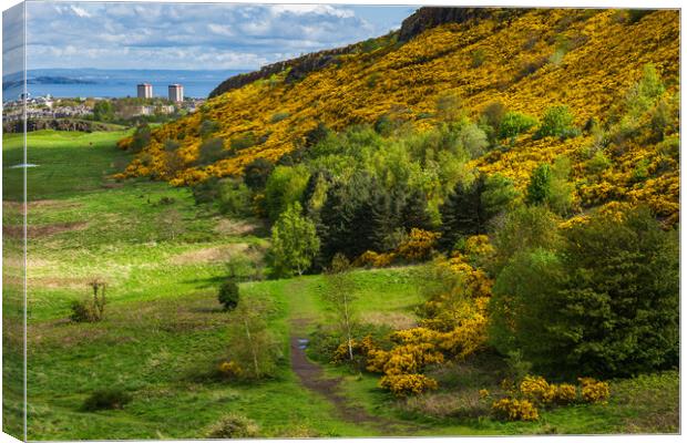 Scottish Lowlands Landscape In Spring Canvas Print by Artur Bogacki