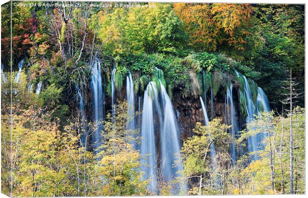Autumn Foliage and Waterfall Canvas Print by Artur Bogacki