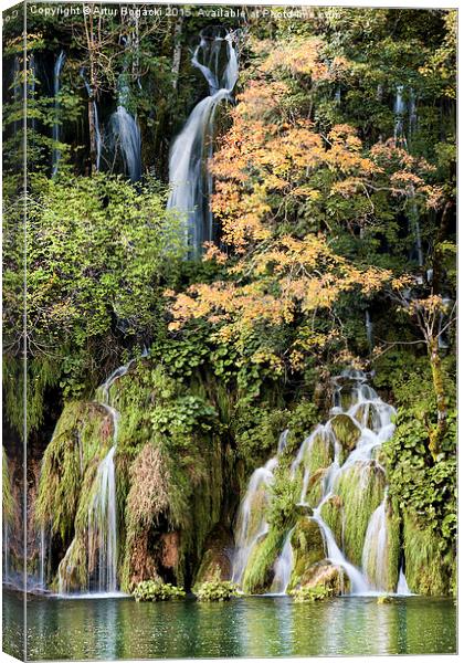 Autumn Waterfalls Canvas Print by Artur Bogacki
