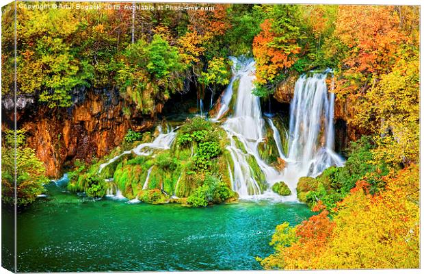 Waterfall in Autumn Forest Canvas Print by Artur Bogacki