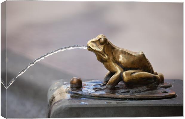 Frog Sculpture Pouring Water Fountain Detail Canvas Print by Artur Bogacki