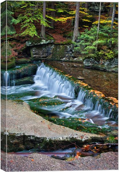 Tranquil Autumn Stream with Waterfall Canvas Print by Artur Bogacki