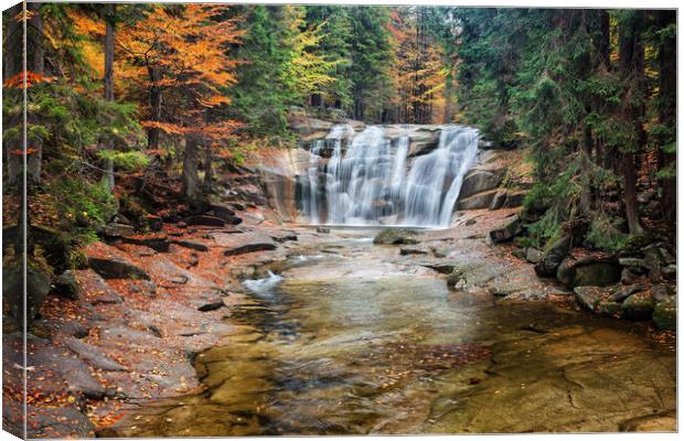 Mumlava Waterfall in Autumn Forest Canvas Print by Artur Bogacki