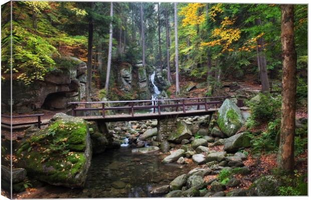 Bridge Over Stream In Autumn Mountain Forest  Canvas Print by Artur Bogacki