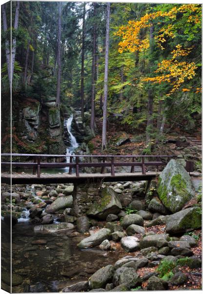 Bridge Over Stream In Mountain Forest Canvas Print by Artur Bogacki