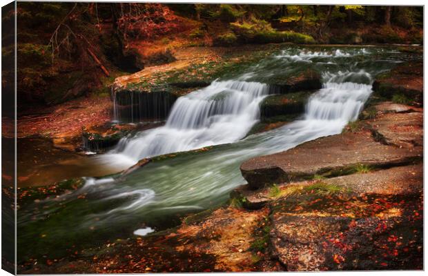 Autumn Stream With Water Cascade Canvas Print by Artur Bogacki