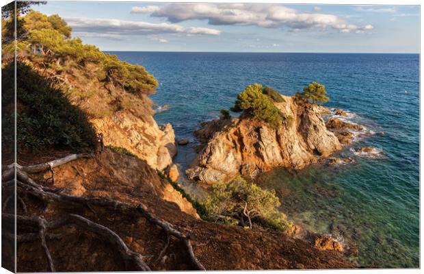 Costa Brava Coastlline of Mediterranean Sea in Spain Canvas Print by Artur Bogacki