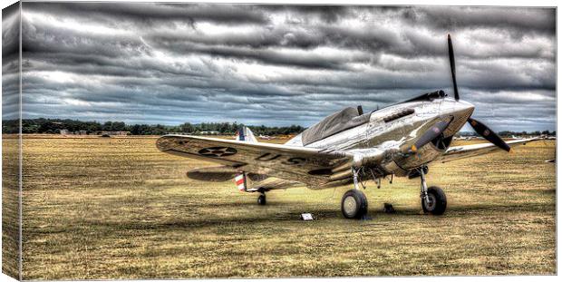 Shinny plane, dull sky Canvas Print by Toby Truelove