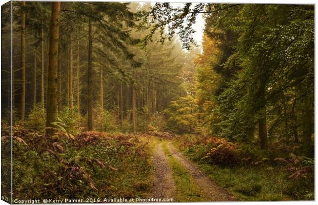 Woodland Paradise  Canvas Print by Kerry Palmer