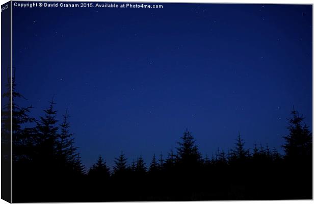 Nights sky above the tree line Canvas Print by David Graham