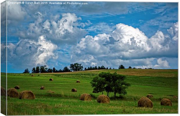 Lovely English Countryside  Canvas Print by Sarah Ball