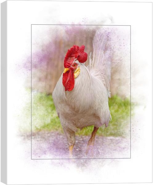 Beautiful Rooster Canvas Print by Sarah Ball