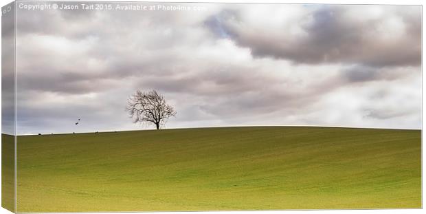 Lonely Tree Canvas Print by Jason Tait