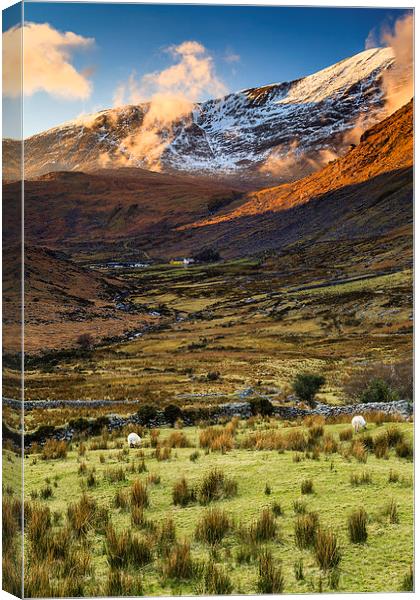 Sunset in the Black Valley  Canvas Print by Graham Daly