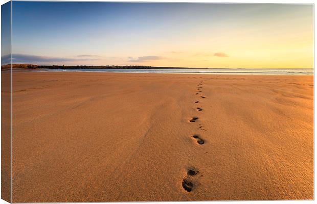 Footprints  Canvas Print by Graham Daly