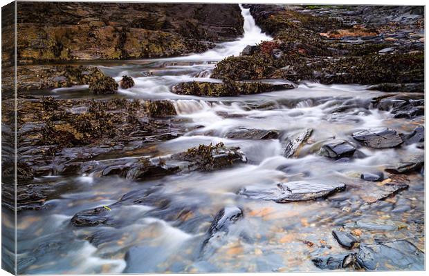  Stream to the Sea Canvas Print by Graham Daly