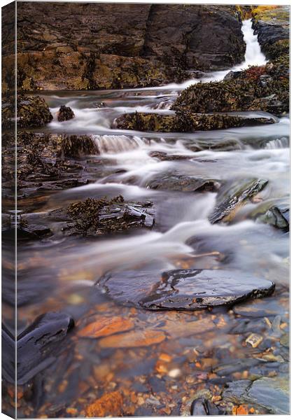  Nohoval Cove Stream Canvas Print by Graham Daly